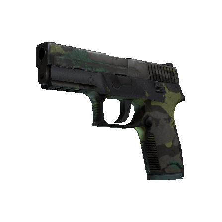 P250 | Boreal Forest (Battle-Scarred)