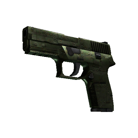 StatTrak™ P250 | Iron Clad (Well-Worn)