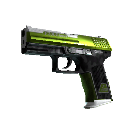 StatTrak™ P2000 | Turf (Minimal Wear)