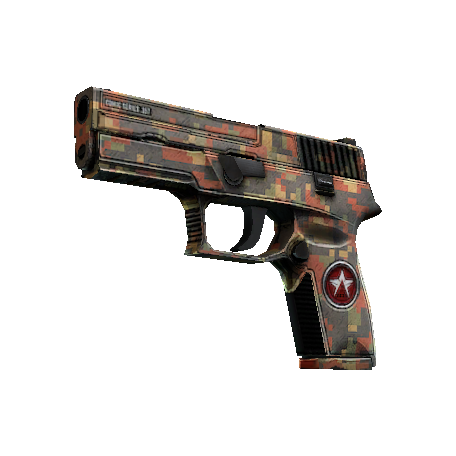 StatTrak™ P250 | Red Rock (Well-Worn)