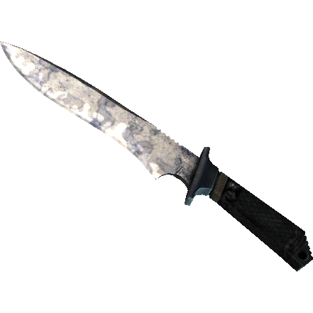 ★ StatTrak™ Classic Knife | Stained (Well-Worn)