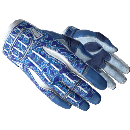 ★ Sport Gloves | Amphibious (Factory New)