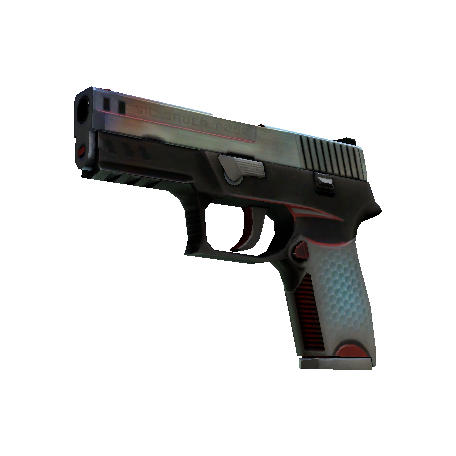 P250 | Cyber Shell (Well-Worn)