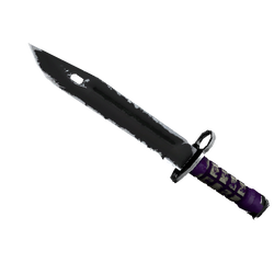 ★ StatTrak™ Bayonet | Ultraviolet (Well-Worn)