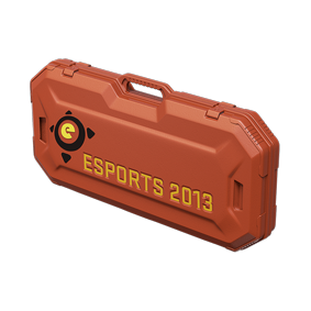 eSports 2013 Case