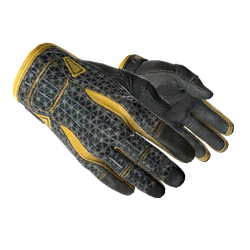 ★ Sport Gloves | Omega (Well-Worn)