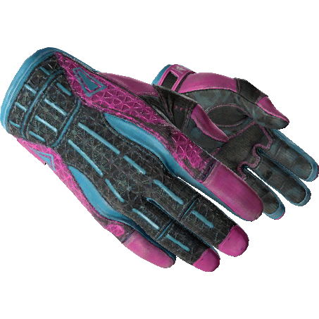 ★ Sport Gloves | Vice (Well-Worn)