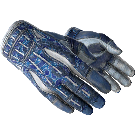 ★ Sport Gloves | Amphibious (Battle-Scarred)