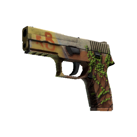 StatTrak™ P250 | Inferno (Minimal Wear)