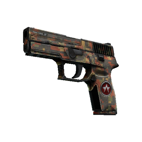 P250 | Red Rock (Battle-Scarred)