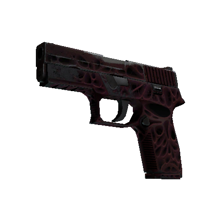 StatTrak™ P250 | Contaminant (Well-Worn)