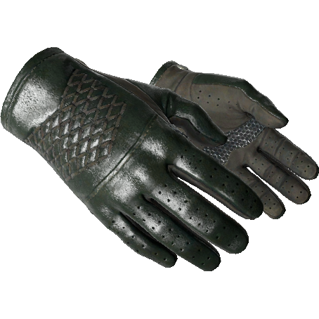 ★ Driver Gloves | Racing Green (Factory New)