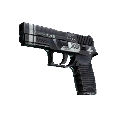 StatTrak™ P250 | Re.built (Well-Worn)