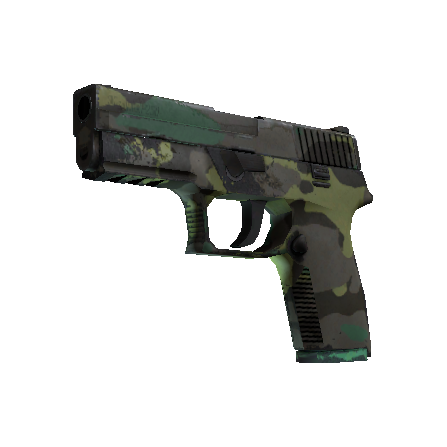 P250 | Boreal Forest (Well-Worn)