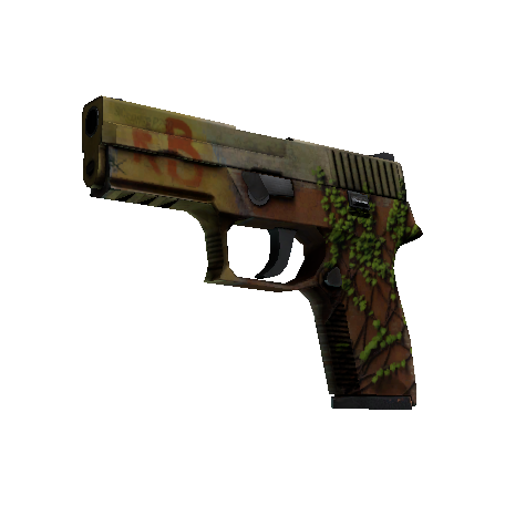 StatTrak™ P250 | Inferno (Battle-Scarred)