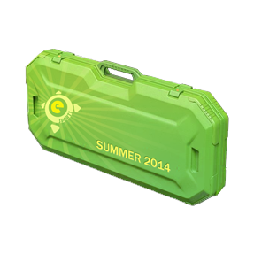 eSports 2014 Summer Case