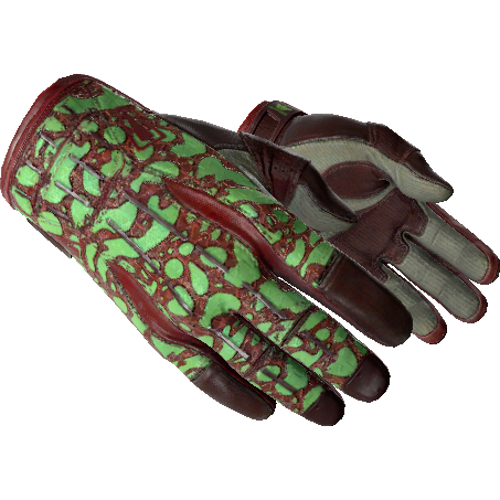 ★ Sport Gloves | Bronze Morph (Factory New)