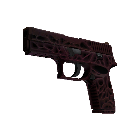 StatTrak™ P250 | Contaminant (Factory New)