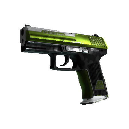 StatTrak™ P2000 | Turf (Well-Worn)