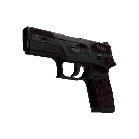 StatTrak™ P250 | Contaminant (Battle-Scarred)