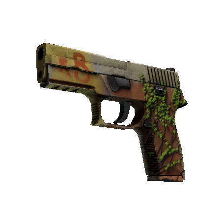 StatTrak™ P250 | Inferno (Well-Worn)