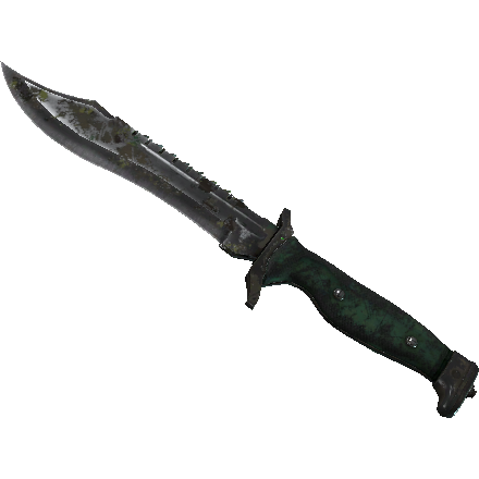 ★ Bowie Knife | Boreal Forest (Battle-Scarred)