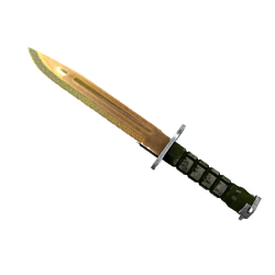 ★ StatTrak™ Bayonet | Lore (Well-Worn)