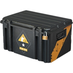 CS:GO Weapon Case