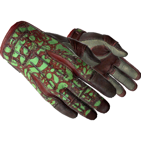 ★ Sport Gloves | Bronze Morph (Well-Worn)