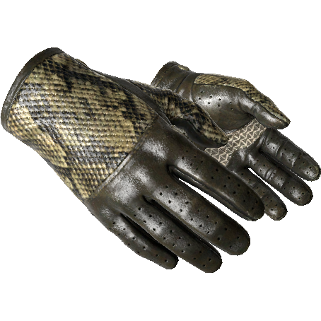 ★ Driver Gloves | Diamondback (Field-Tested)