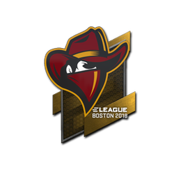 Sticker | Renegades | Boston 2018